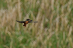 ７分で４発　４