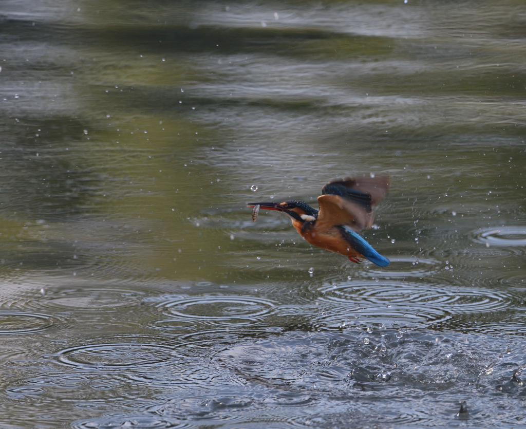 迷いばかり　２