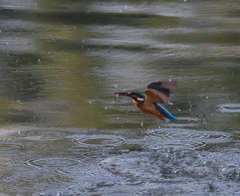 迷いばかり　２