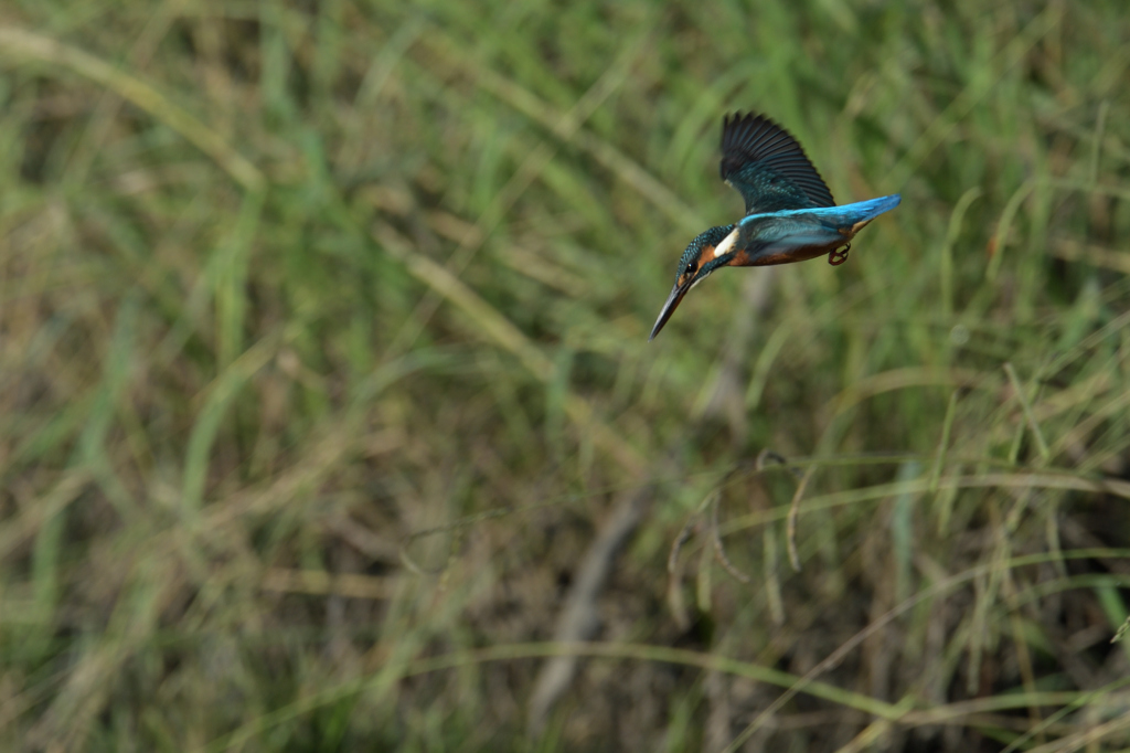 ちょうどいい、飛出し。
