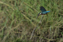 ちょうどいい、飛出し。