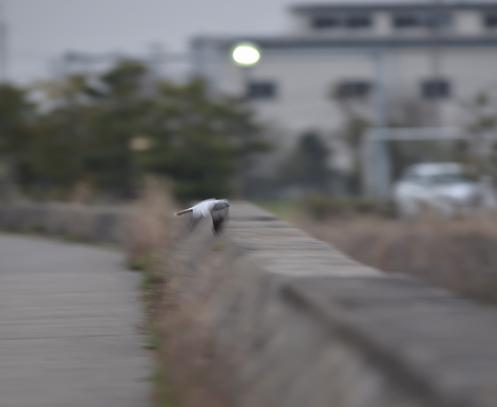 3/28