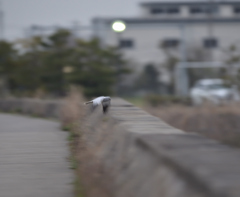 3/28