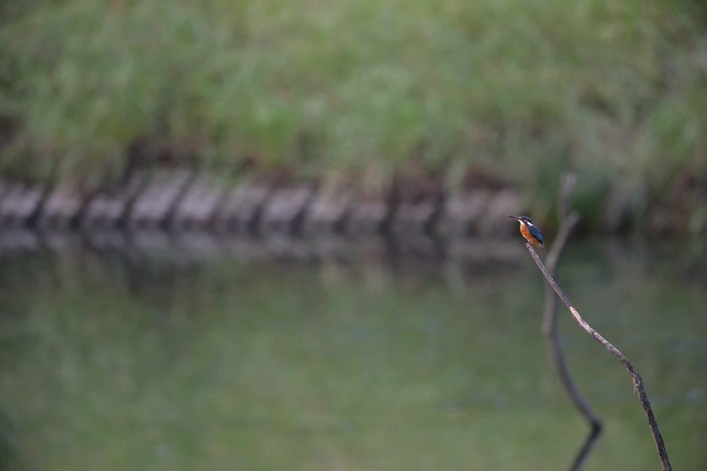 立ち位置変えてみた