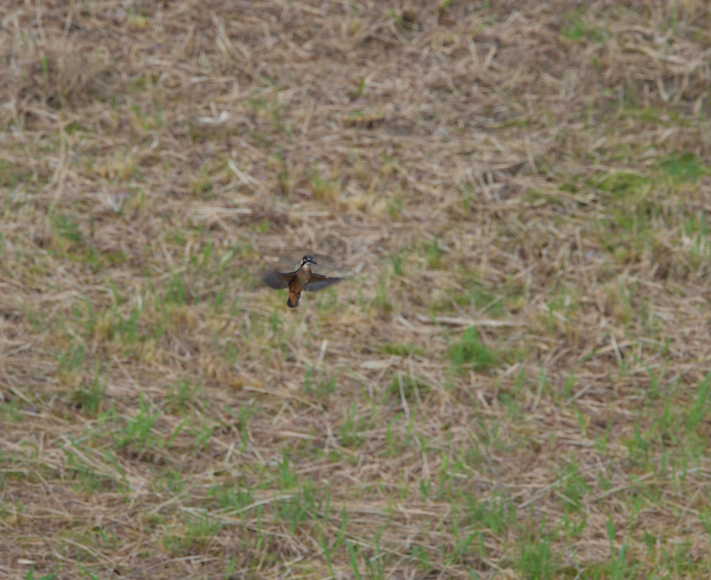 遠～～い、one chance。