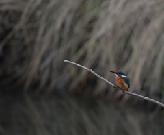 またまた・・・　１