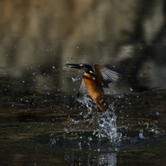 間がほしい　２