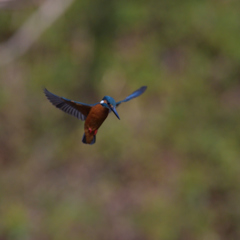 ソフトフォーカス（泣