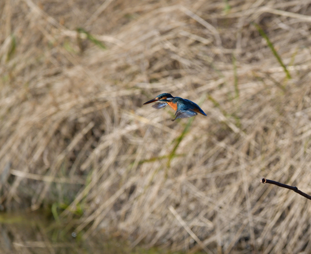 チョンボ、二発　３