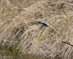 チョンボ、二発　３