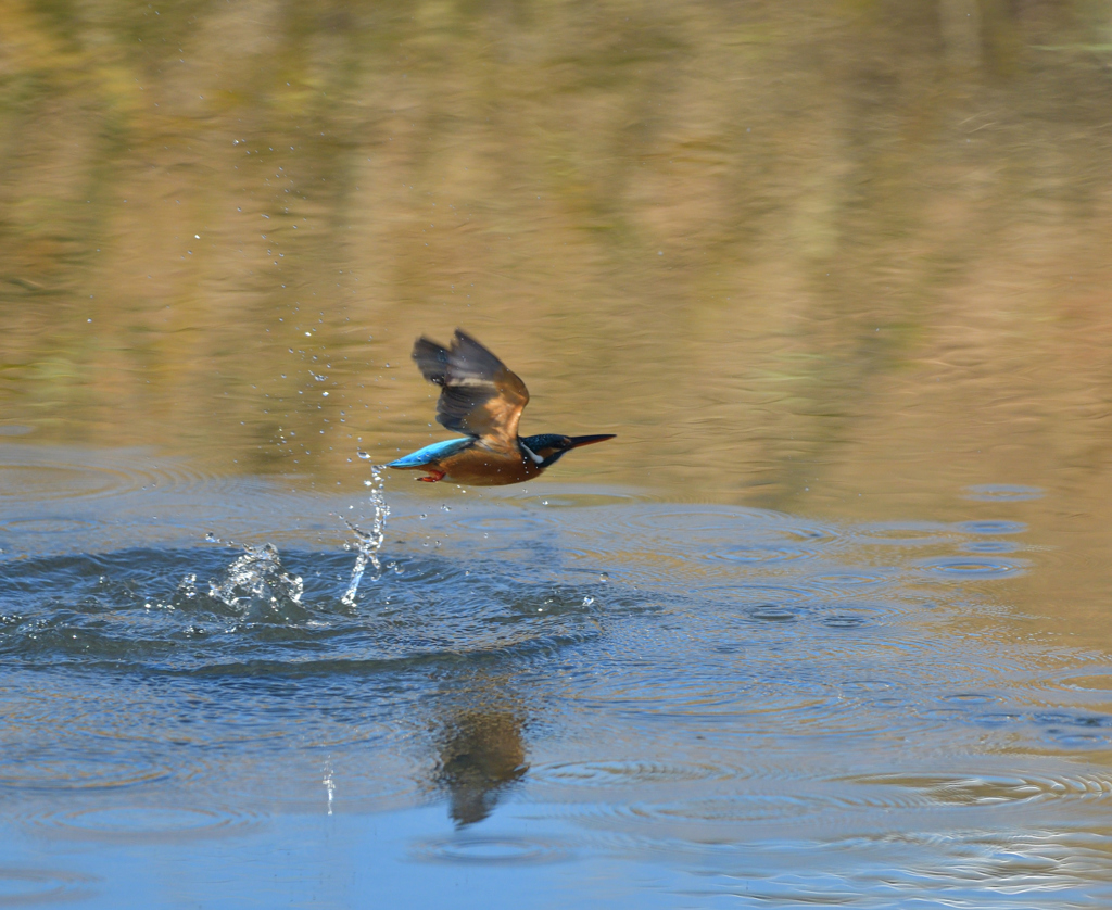 Ｏさんの様に・・・　４