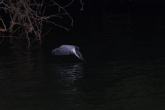 とりあえず　２