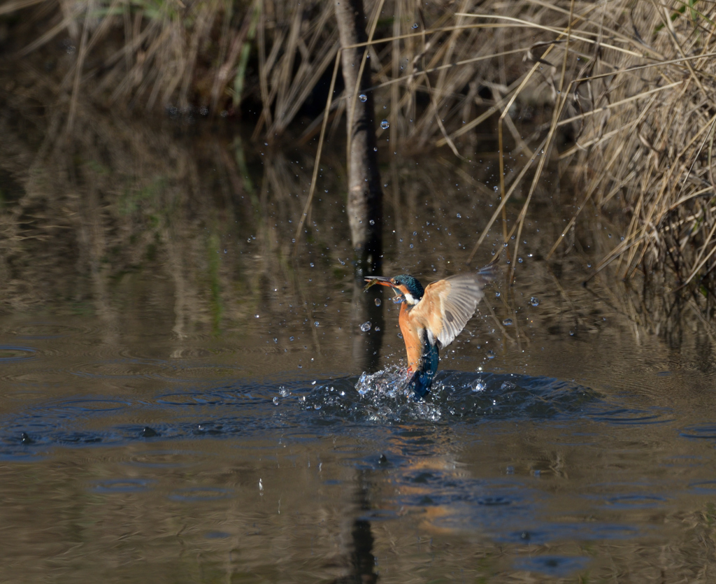 また、はじまる。　４