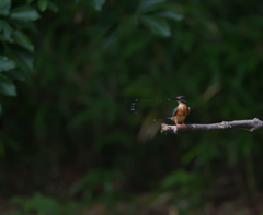 (　ﾟдﾟ)､ﾍﾟｯ