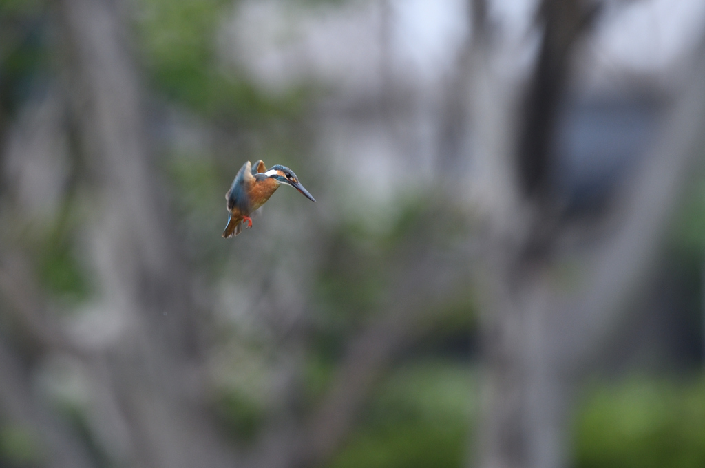 入場は、2回のみ。