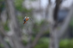 入場は、2回のみ。