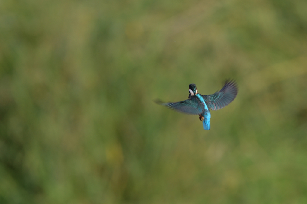 つづくといいな！　⑧－２－２