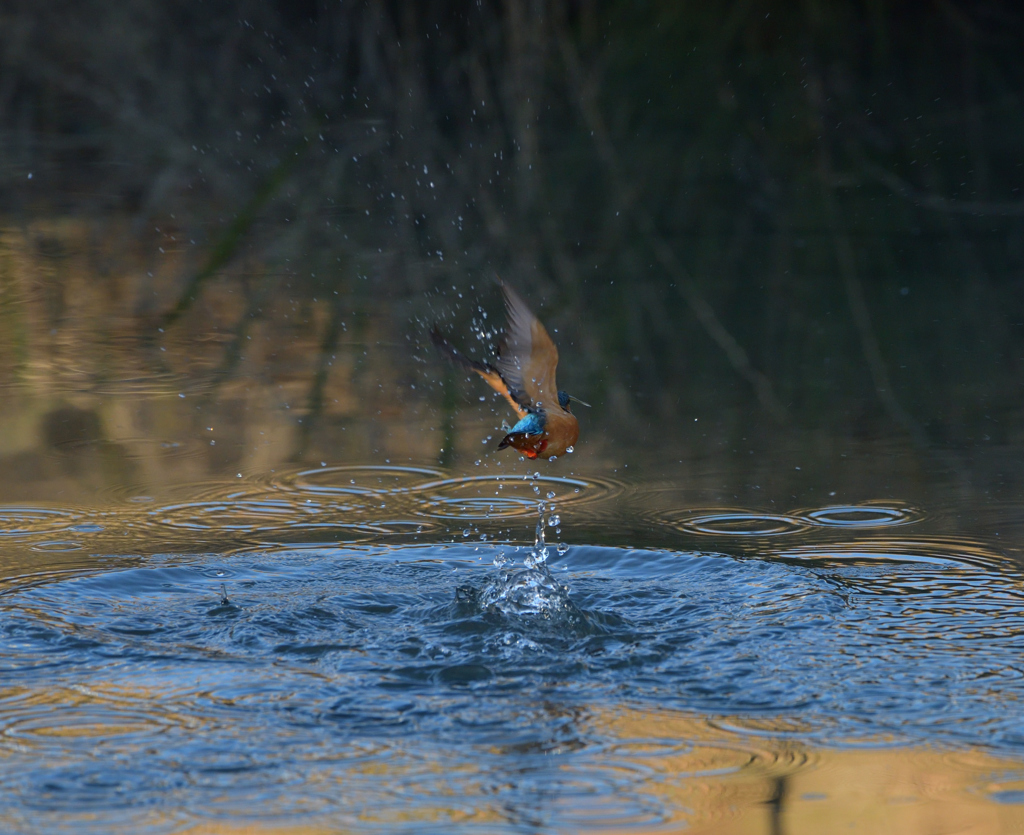 ヘタ打ち３　１