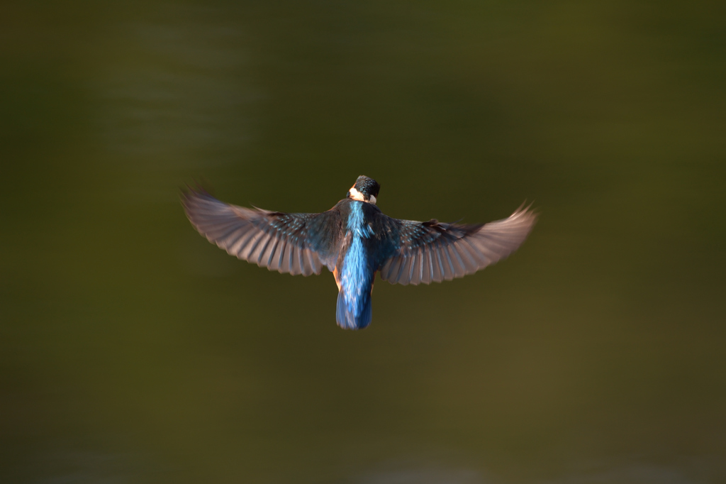 ④（ノートリ））