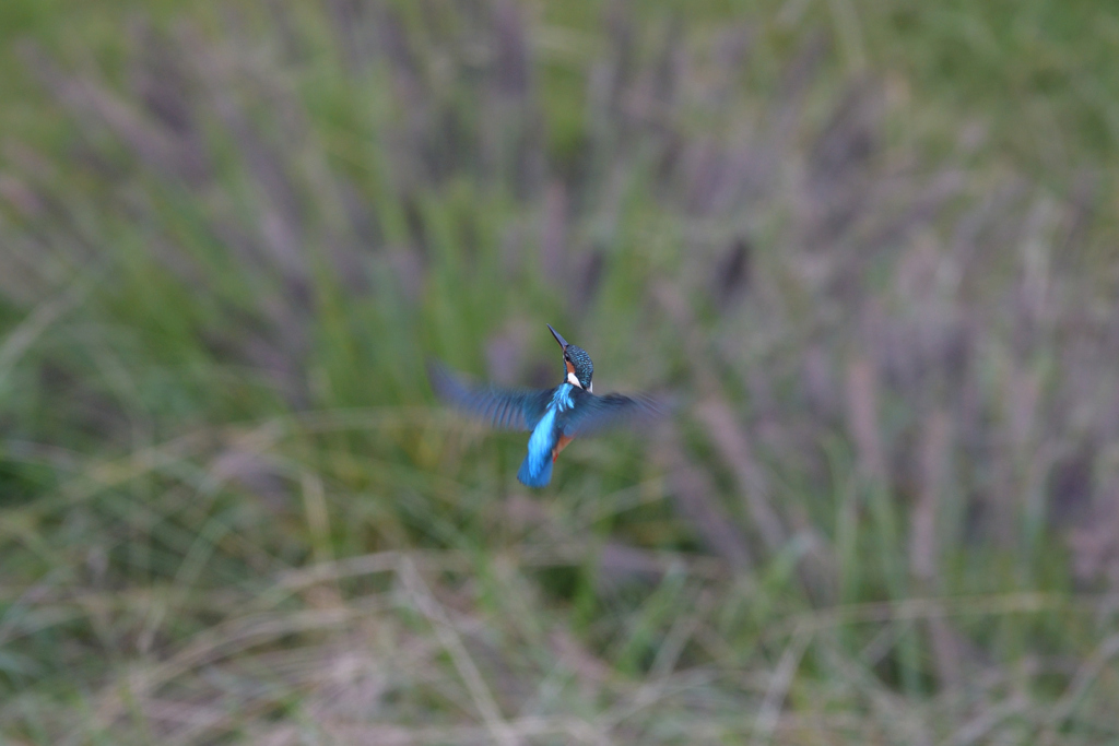 上が気になる？