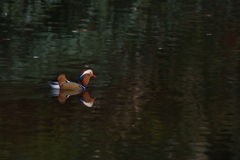 また、止まらず。３