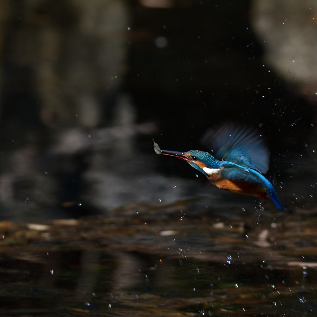 間がほしい　１