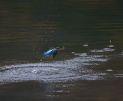 二発だけど・・・　4