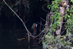 また、何時か　１