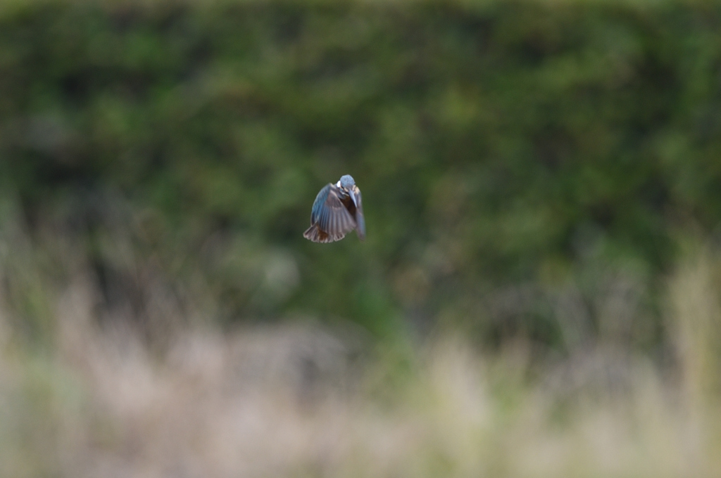 入場は、2回のみ。