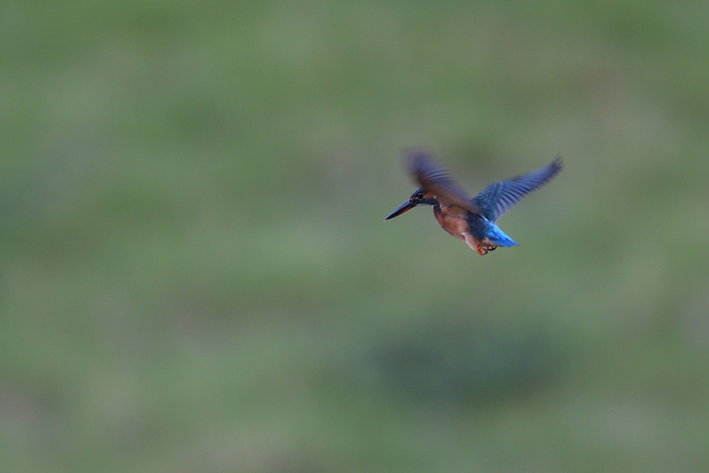 プチ祭り　⑥－５