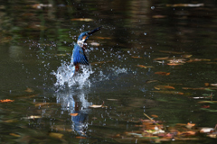 間に合ったけど