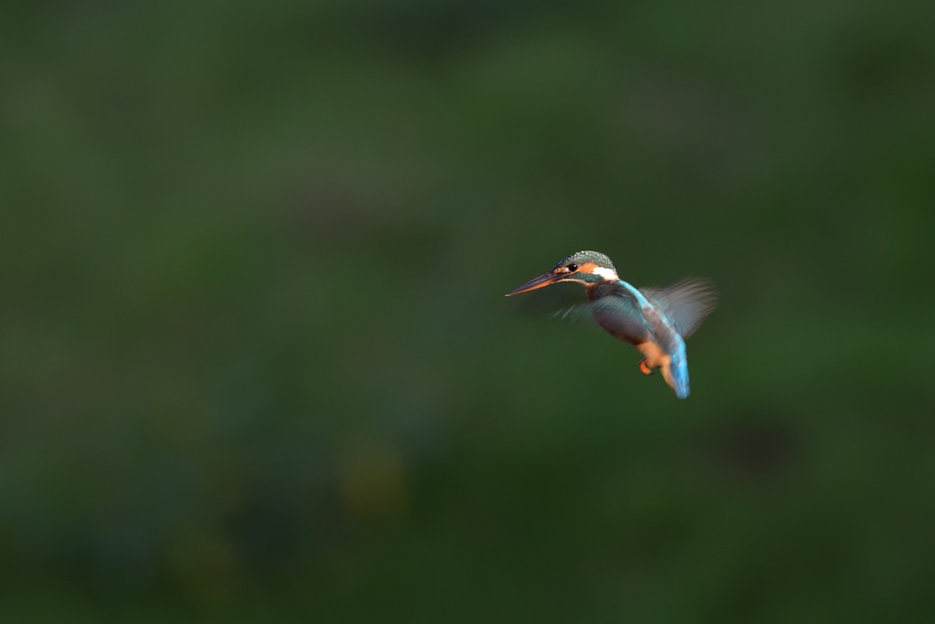 プチ祭り　⑥－６－１