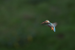 プチ祭り　⑥－６－１