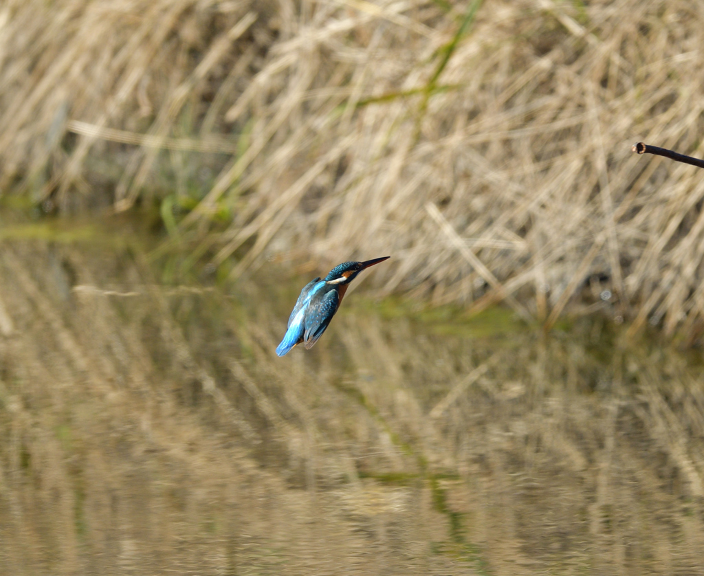 Ｏさんの様に・・・　１０