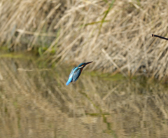 Ｏさんの様に・・・　１０