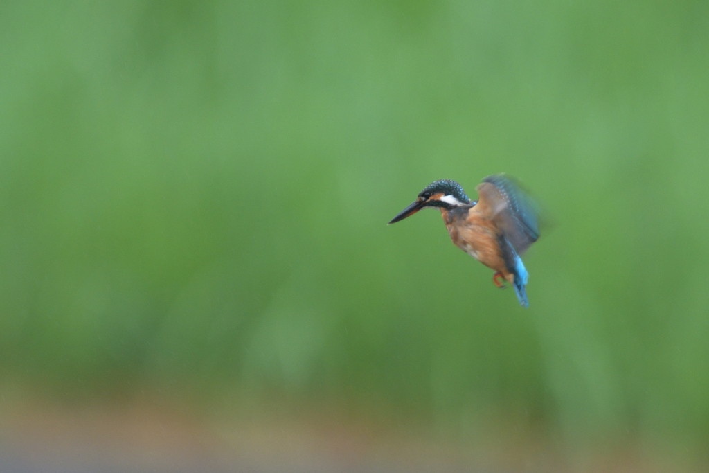 Ａホバ　２－２