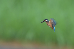 Ａホバ　２－２