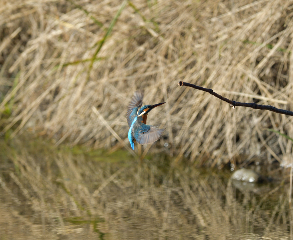 Ｏさんの様に・・・　１１