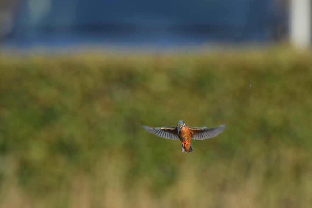 プチ三段ホバ？　⑤