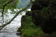 雨の日の湖