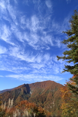 奥只見の紅葉