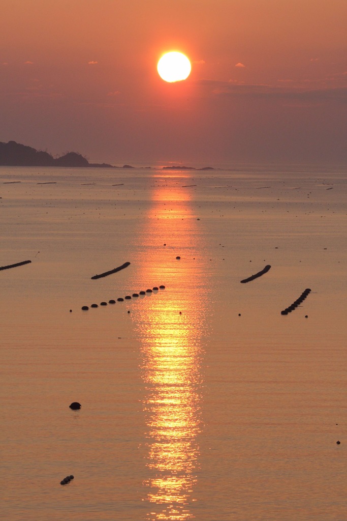南三陸町の夜明け
