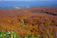 鳥海山5合目祓川付近より東側を望む