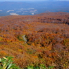 鳥海山5合目祓川付近より東側を望む