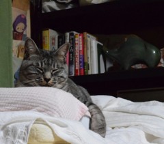 早い者勝ち