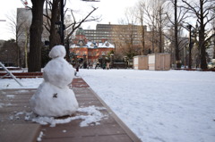 雪だるまと北海道庁