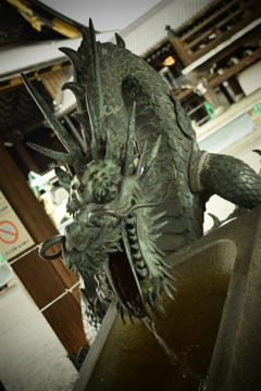 龍