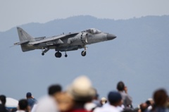 AV8
