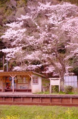 駅