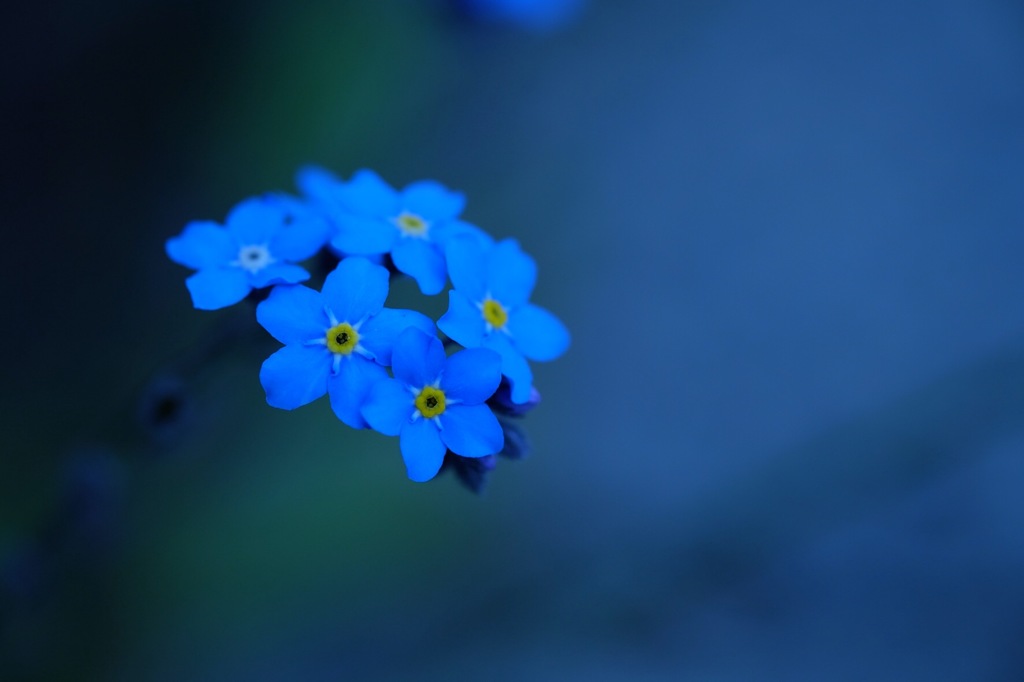 blue